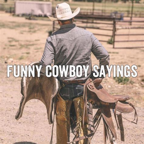 funny cowboy images